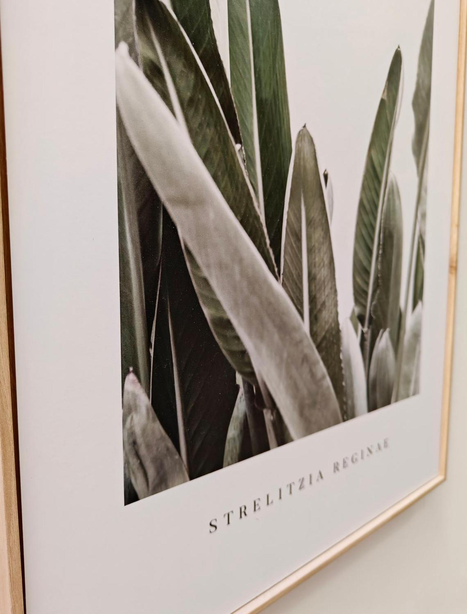 Cottonera Cara Apartment Cospicua